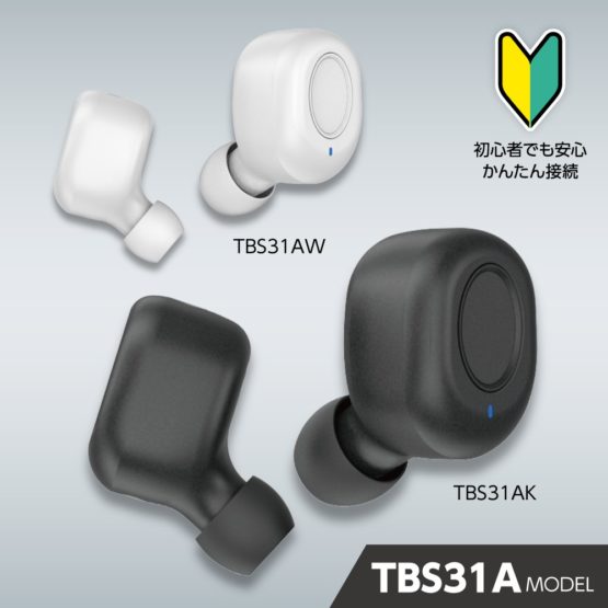 bs31a_11.jpg