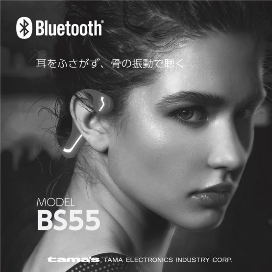 bs55_1.jpg