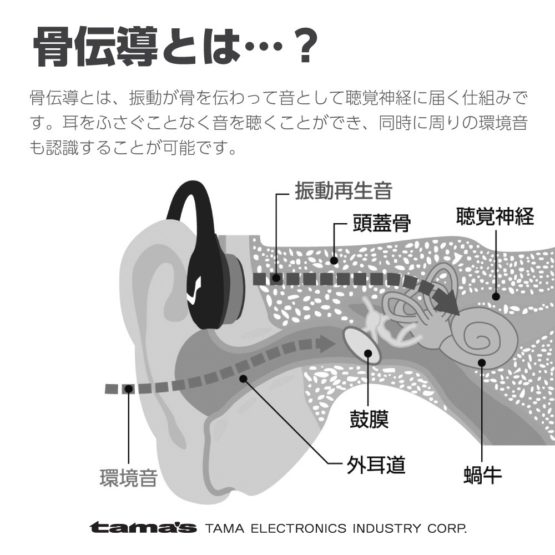 bs55_8.jpg