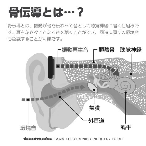 bs58_10.jpg