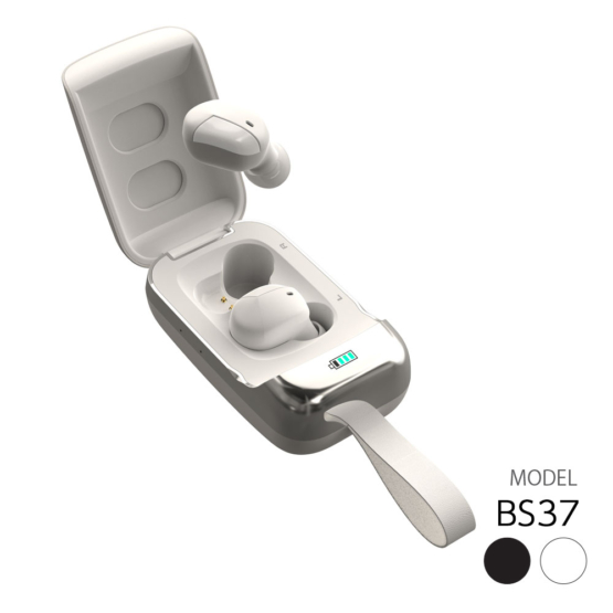 BS37_2