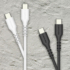 H231CCT10_9