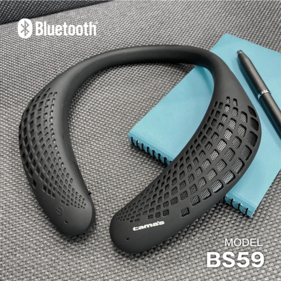 BS59_type-C_4
